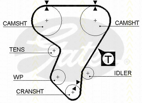 Timing Belt
