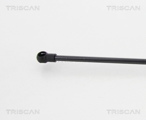 Gas Spring, boot/cargo area