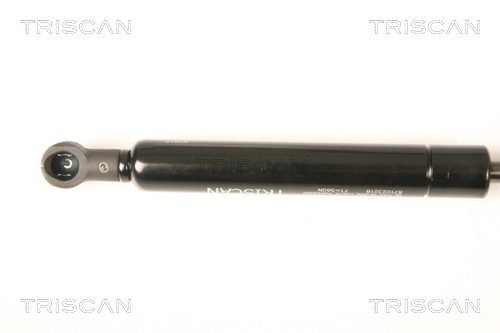 Gas Spring, boot/cargo area