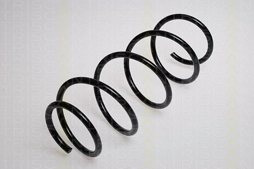 Suspension Spring (8750 1572)