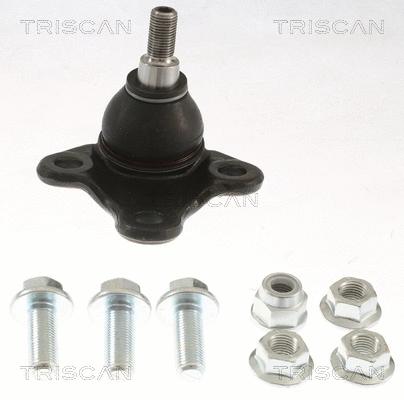 Ball Joint (8500 255009)