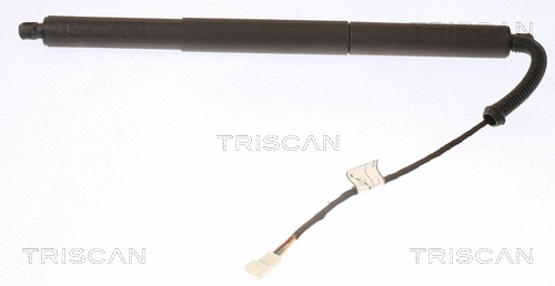 Gas Spring, boot/cargo area (8710 11308)