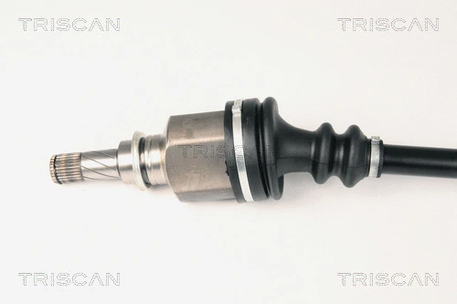 Drive Shaft