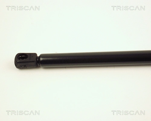 Gas Spring, boot/cargo area