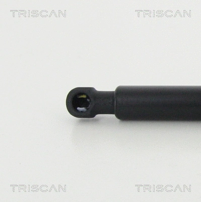 Gas Spring, boot/cargo area