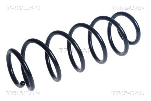 Suspension Spring (8750 23225)