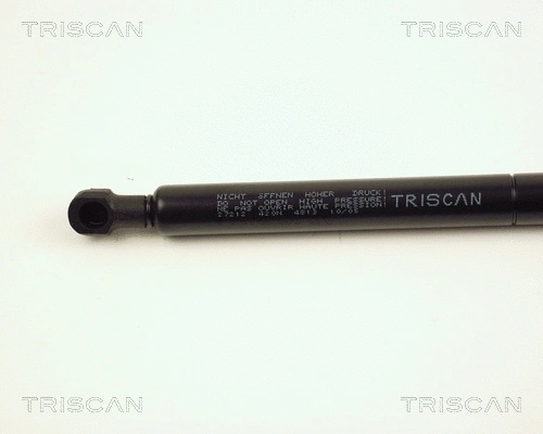 Gas Spring, boot/cargo area
