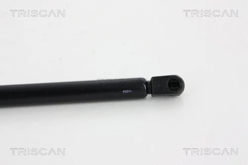 Gas Spring, boot/cargo area