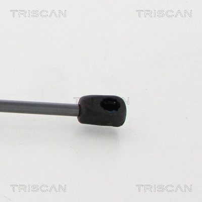 Gas Spring, boot/cargo area