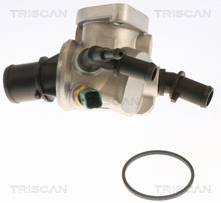 Thermostat, coolant