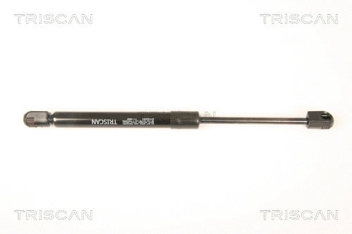 Gas Spring, boot/cargo area (8710 29293)