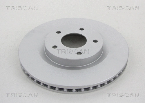 Brake Disc (8120 14169C)