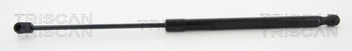 Gas Spring, boot/cargo area