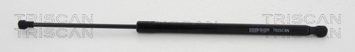 Gas Spring, boot/cargo area