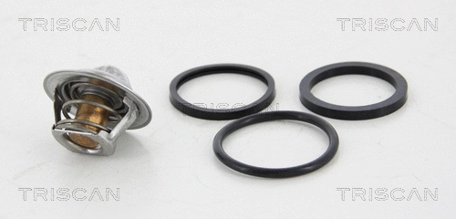 Thermostat, coolant (8620 3992)