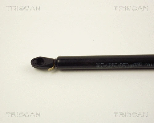 Gas Spring, boot/cargo area