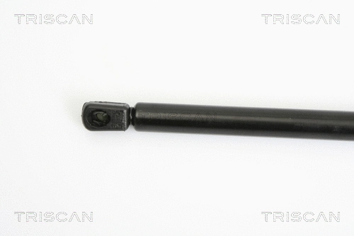 Gas Spring, boot/cargo area