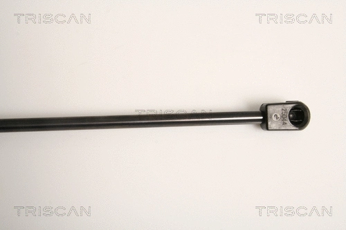 Gas Spring, boot/cargo area