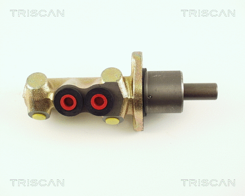 Brake Master Cylinder (8130 28106)