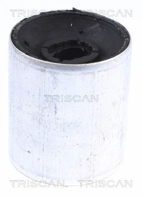 Mounting, control/trailing arm (8500 118008)