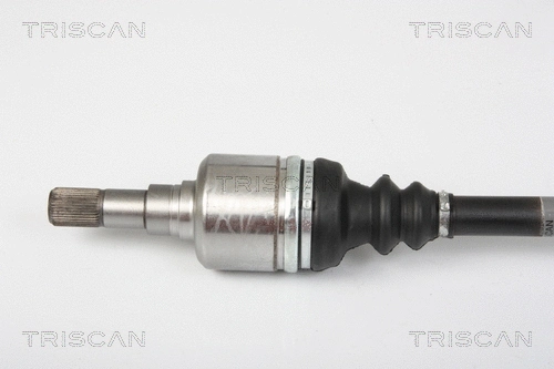 Drive Shaft