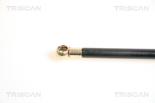 Gas Spring, boot/cargo area