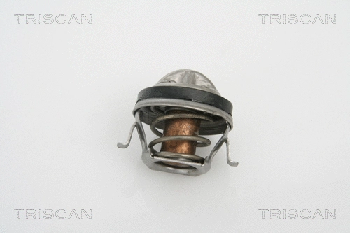 Thermostat, coolant (8620 19991)