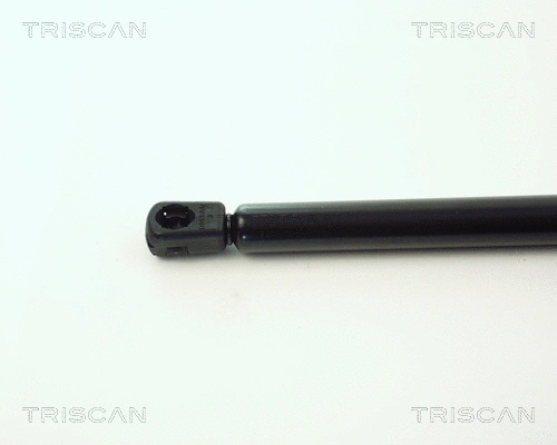 Gas Spring, boot/cargo area