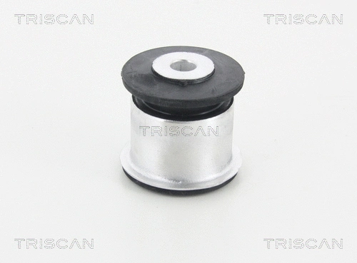 Mounting, control/trailing arm (8500 23890)