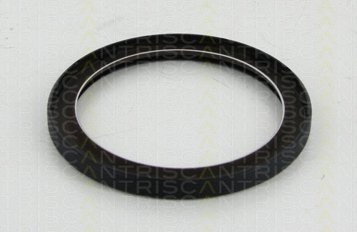 Shaft Seal, crankshaft (8550 10056)