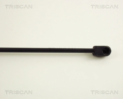 Gas Spring, boot/cargo area