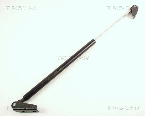 Gas Spring, boot/cargo area (8710 43202)