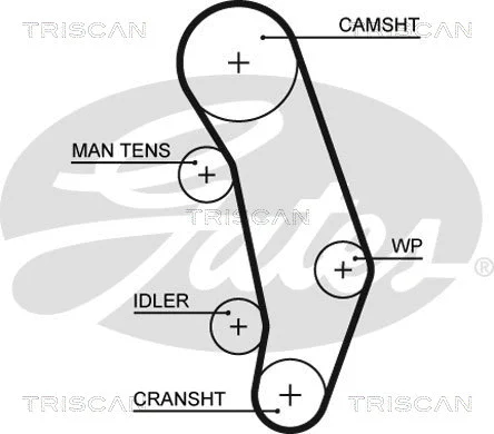 Timing Belt Kit