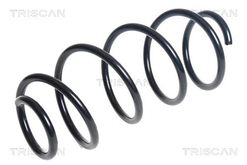 Suspension Spring (8750 29515)