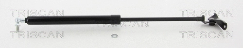 Gas Spring, boot/cargo area (8710 13250)