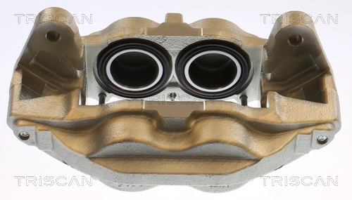 Brake Caliper (8175 13130)