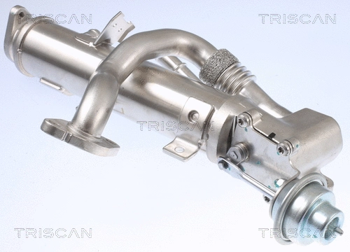 Cooler, exhaust gas recirculation