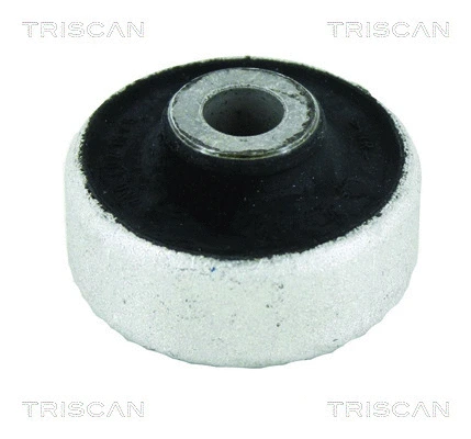 Mounting, control/trailing arm (8500 29881)