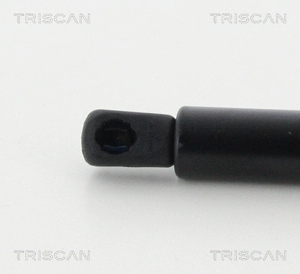 Gas Spring, boot/cargo area