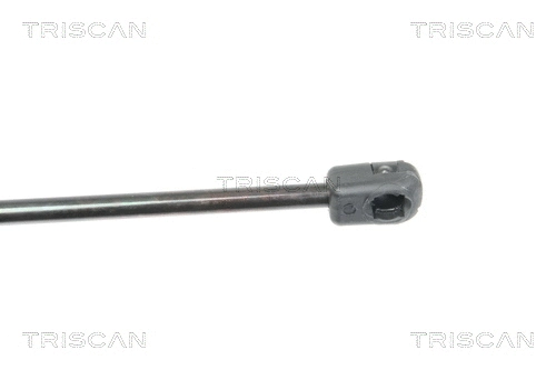 Gas Spring, bonnet
