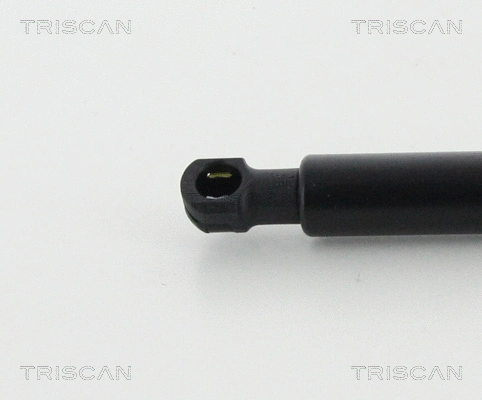 Gas Spring, bonnet