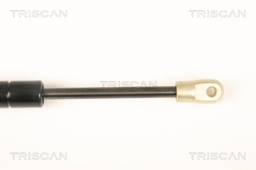 Gas Spring, boot/cargo area