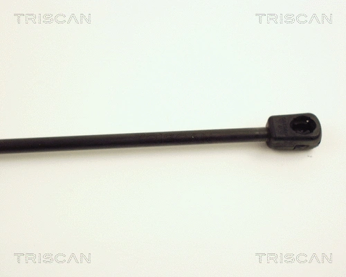Gas Spring, boot/cargo area