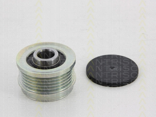 Alternator Freewheel Clutch (8641 274006)