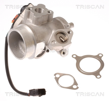 EGR Valve (8813 10012)