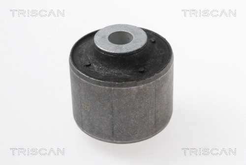 Mounting, control/trailing arm (8500 298052)