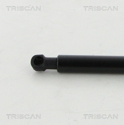 Gas Spring, boot/cargo area