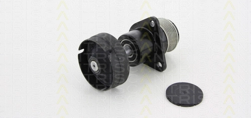 Alternator Freewheel Clutch (8641 164005)