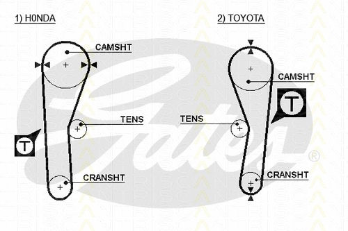 Timing Belt