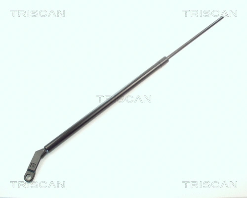 Gas Spring, boot/cargo area (8710 11205)